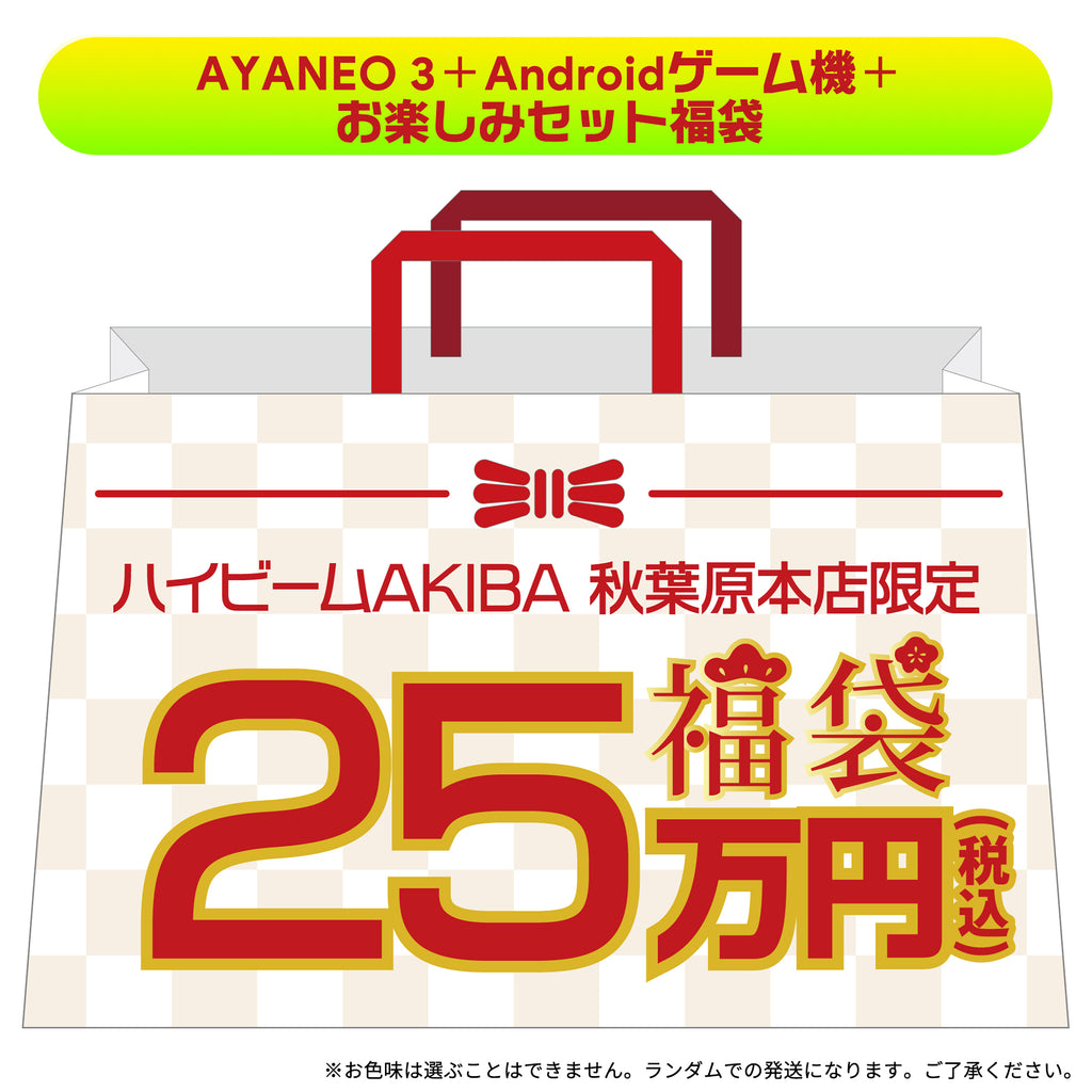 《2026年 25万円福袋》AYANEO 3 64GB/2TBモデル Ryzen AI 9 370 HX（1月5日以降順次発送）